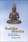 Buddhadharma, Bd.1, Auf den Spuren des Transzendenten