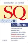 SQ, Spirituelle Intelligenz