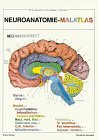 Neuroanatomie-Malatlas